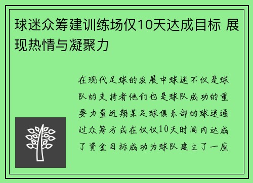 球迷众筹建训练场仅10天达成目标 展现热情与凝聚力