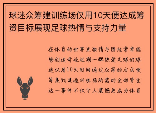 球迷众筹建训练场仅用10天便达成筹资目标展现足球热情与支持力量